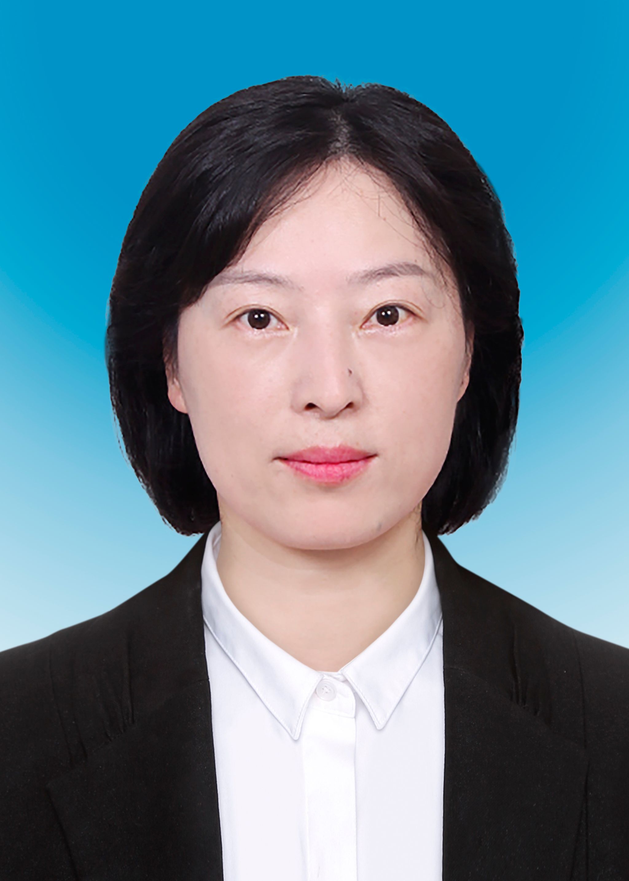 必赢net.95